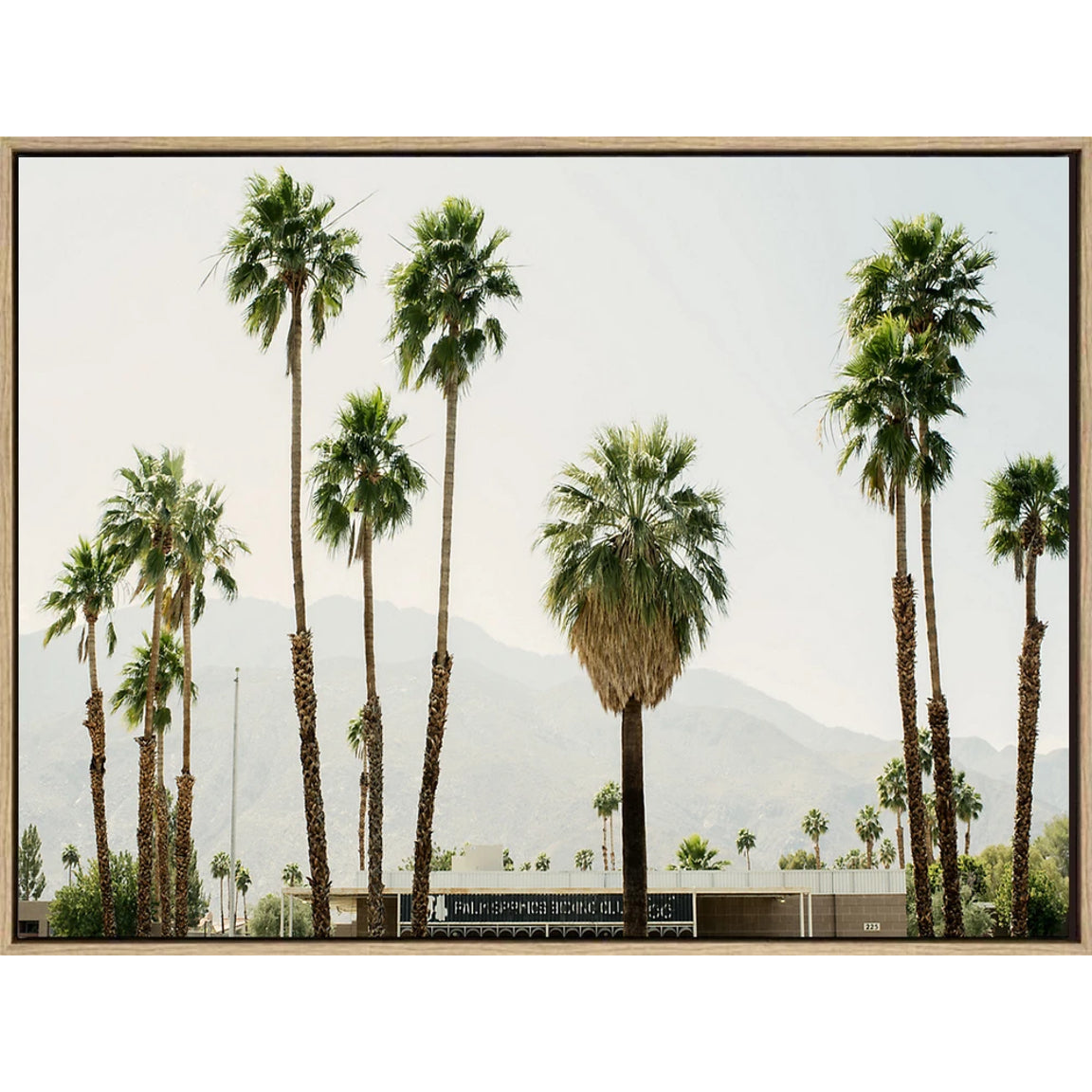 Beach Lane Canvas & Framed Art Beach Lane Art